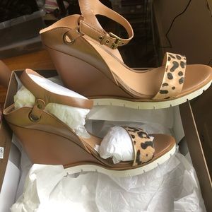 Brand new in box, brand is called paolo and it’s size 10